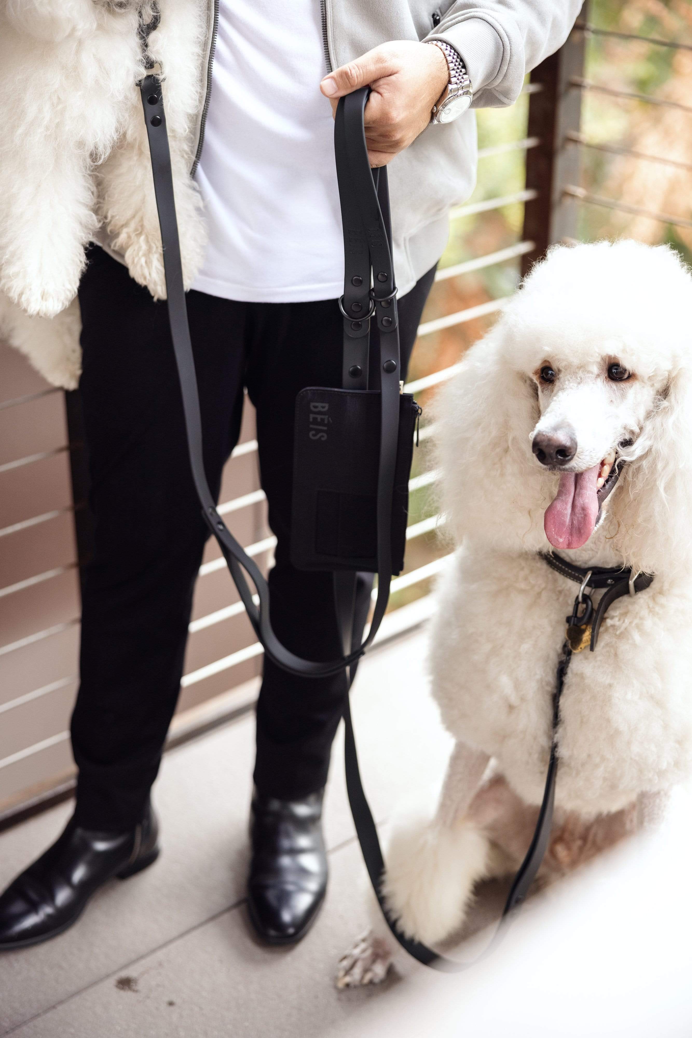 The Pet Leash in XS/S - Image 3